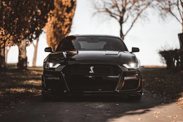 Casino777 Kasino Android/iOS Aplikácia